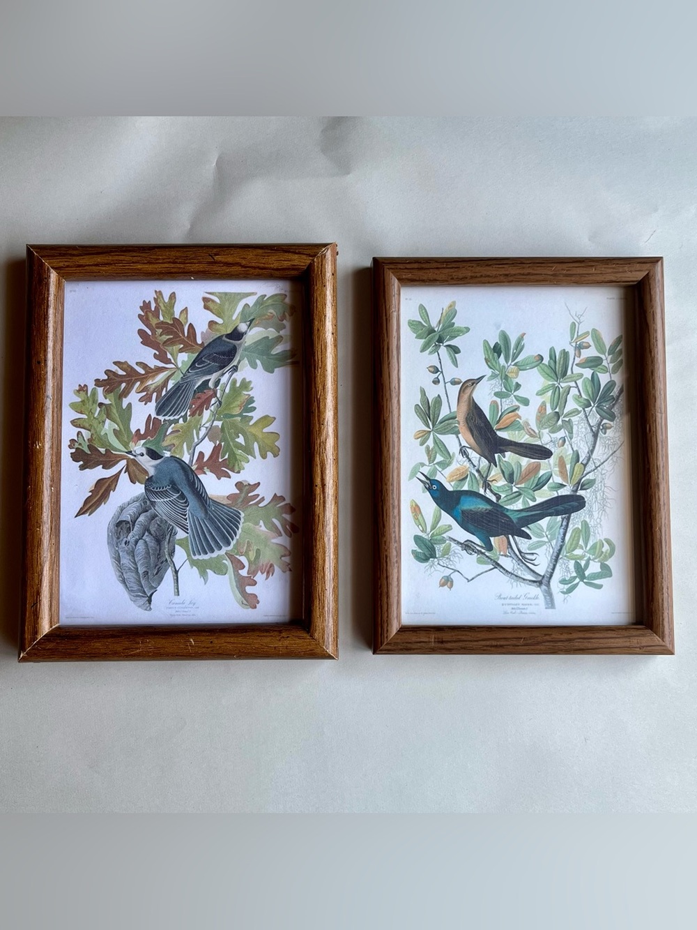 Vintage Medium Tone Wood Picture Photo Frames w/ Fine Art Prints Birds-Set of 2